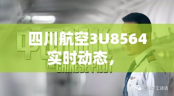 四川航空3U8564实时动态,