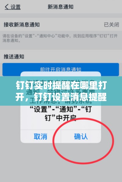 钉钉实时提醒在哪里打开,钉钉设置消息提醒时间