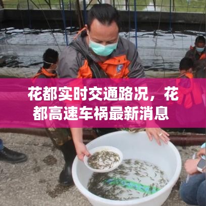 花都实时交通路况,花都高速车祸最新消息