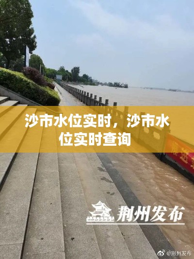 沙市水位实时,沙市水位实时查询