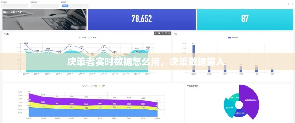 决策者实时数据怎么用,决策数据输入