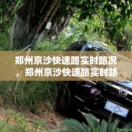 郑州京沙快速路实时路况,郑州京沙快速路实时路况信息