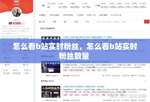 怎么看b站实时粉丝,怎么看b站实时粉丝数量