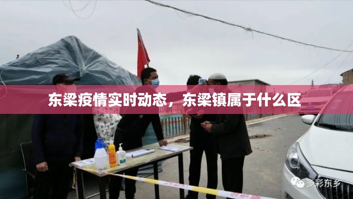 东梁疫情实时动态,东梁镇属于什么区