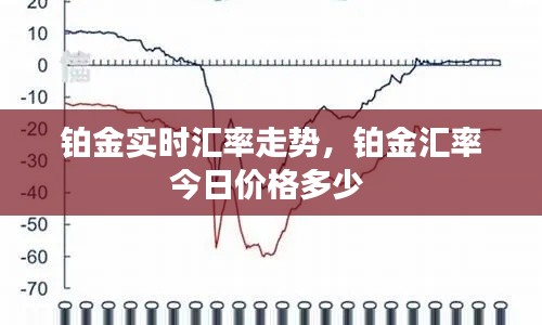 铂金实时汇率走势,铂金汇率今日价格多少