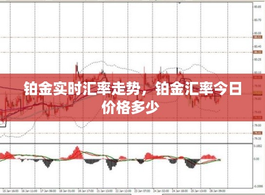 铂金实时汇率走势,铂金汇率今日价格多少