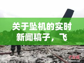 关于坠机的实时新闻稿子,飞机坠落的新闻