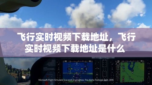 飞行实时视频下载地址,飞行实时视频下载地址是什么
