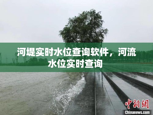 河堤实时水位查询软件,河流水位实时查询