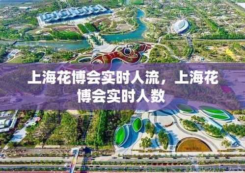 上海花博会实时人流,上海花博会实时人数