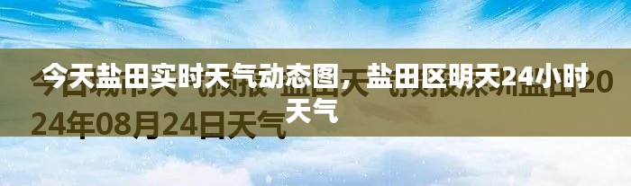 今天盐田实时天气动态图,盐田区明天24小时天气