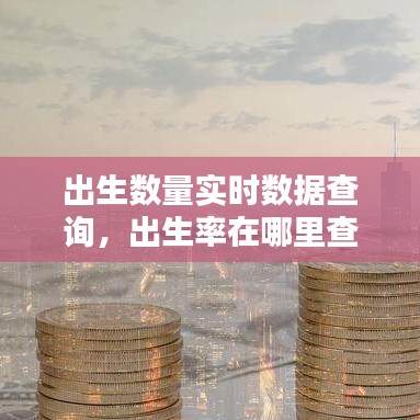 出生数量实时数据查询,出生率在哪里查