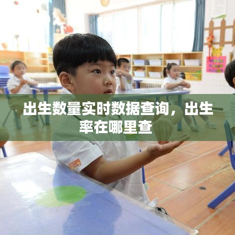 出生数量实时数据查询,出生率在哪里查