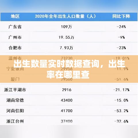 出生数量实时数据查询,出生率在哪里查