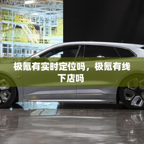 极氪有实时定位吗,极氪有线下店吗