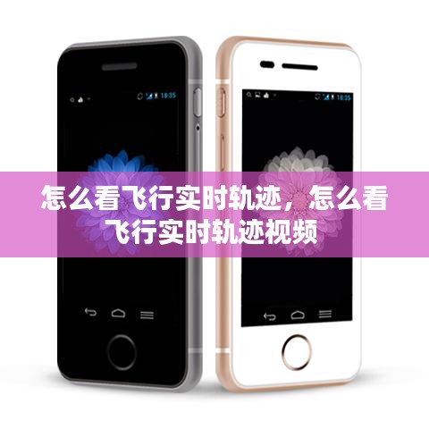 怎么看飞行实时轨迹,怎么看飞行实时轨迹视频