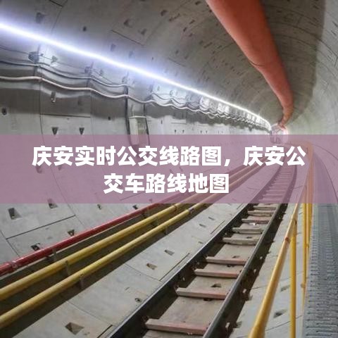 庆安实时公交线路图,庆安公交车路线地图