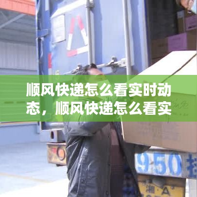 技术支持 第293页
