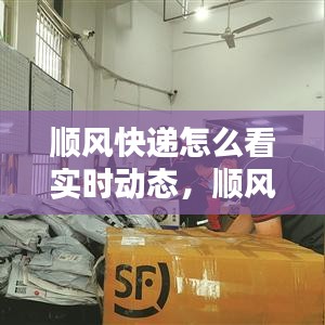 顺风快递怎么看实时动态,顺风快递怎么看实时动态信息