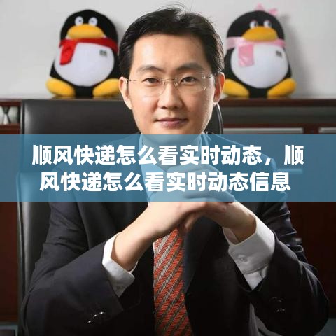 顺风快递怎么看实时动态,顺风快递怎么看实时动态信息