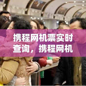 携程网机票实时查询,携程网机票查询网
