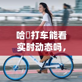 哈啰打车能看实时动态吗,哈啰打车能看实时动态吗怎么看