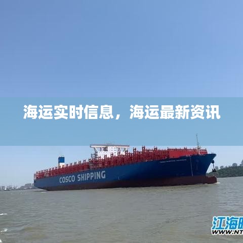 海运实时信息,海运最新资讯