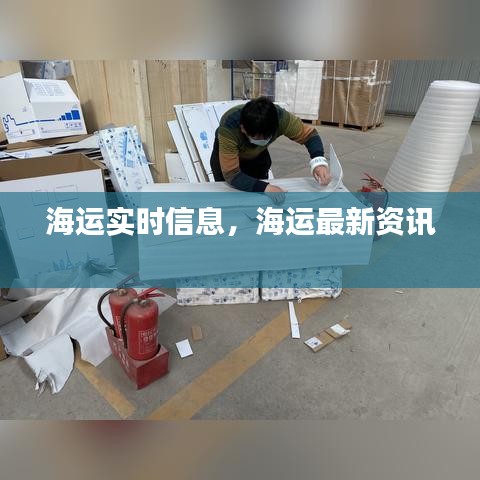 海运实时信息,海运最新资讯