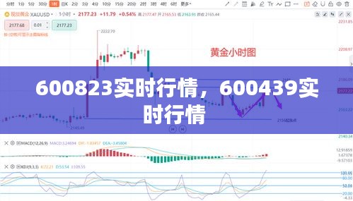 600823实时行情,600439实时行情
