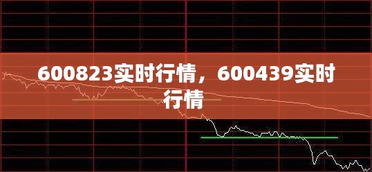 600823实时行情,600439实时行情