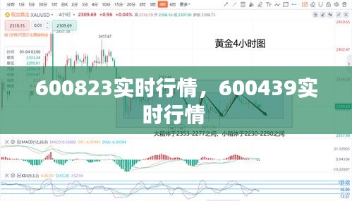 600823实时行情,600439实时行情