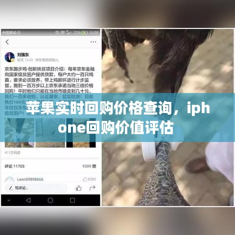 苹果实时回购价格查询,iphone回购价值评估