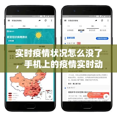实时疫情状况怎么没了,手机上的疫情实时动态怎么没有了