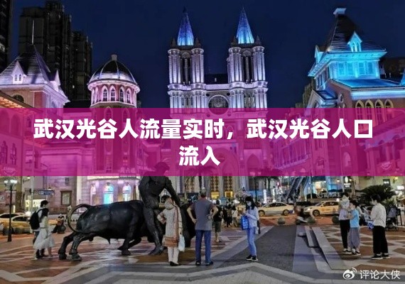 武汉光谷人流量实时,武汉光谷人口流入
