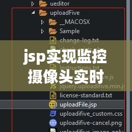 jsp实现监控摄像头实时播放,html 视频监控