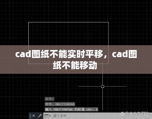 cad图纸不能实时平移,cad图纸不能移动