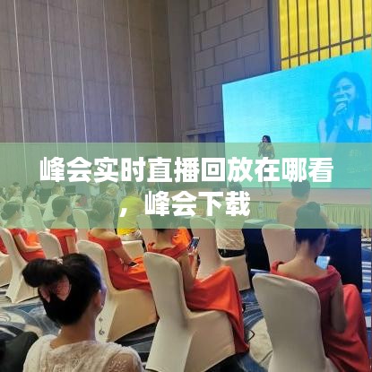 峰会实时直播回放在哪看,峰会下载