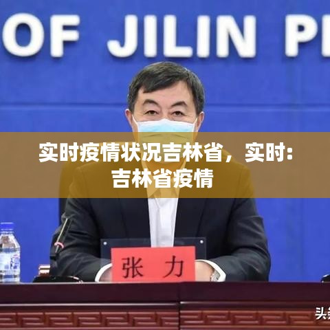 实时疫情状况吉林省,实时:吉林省疫情