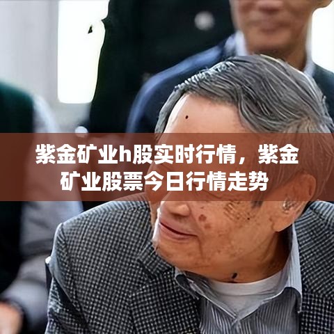 紫金矿业h股实时行情,紫金矿业股票今日行情走势