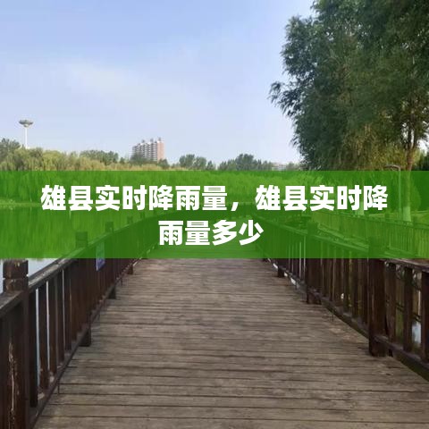 雄县实时降雨量,雄县实时降雨量多少