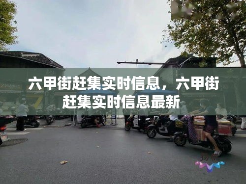 六甲街赶集实时信息,六甲街赶集实时信息最新