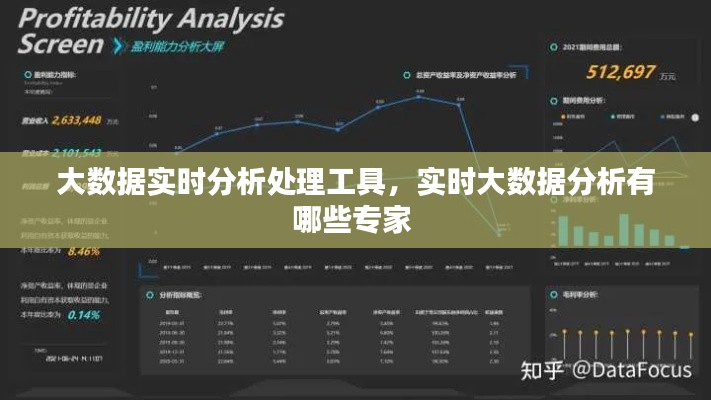 大数据实时分析处理工具,实时大数据分析有哪些专家