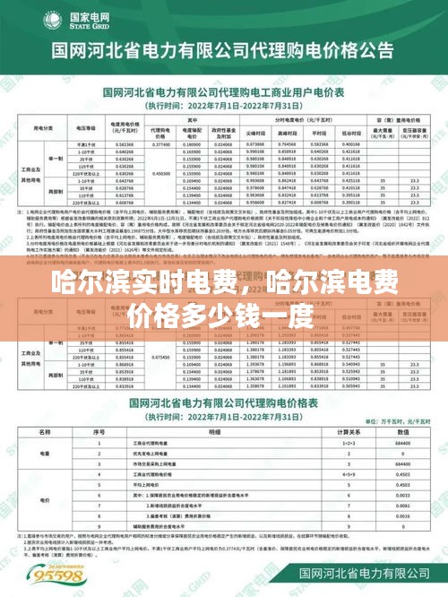 哈尔滨实时电费,哈尔滨电费价格多少钱一度