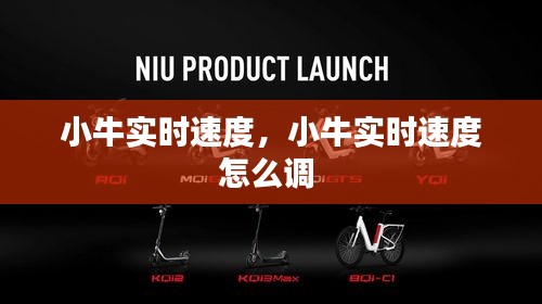小牛实时速度,小牛实时速度怎么调