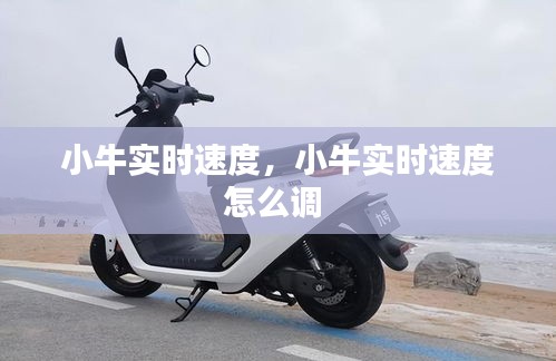小牛实时速度,小牛实时速度怎么调