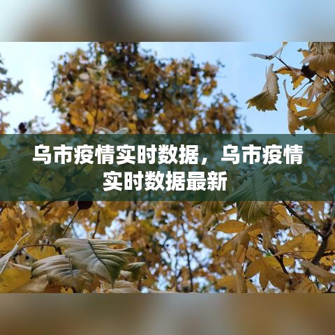 乌市疫情实时数据,乌市疫情实时数据最新
