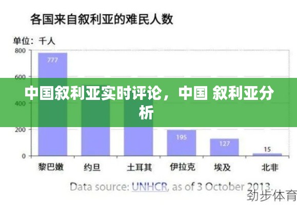 中国叙利亚实时评论,中国 叙利亚分析