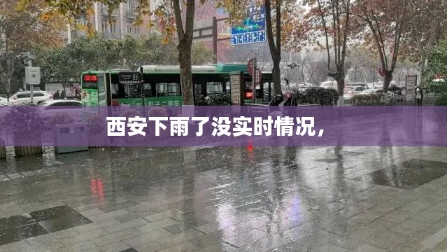 打张鸡儿 第5页