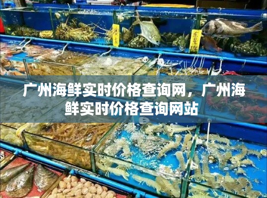 广州海鲜实时价格查询网,广州海鲜实时价格查询网站