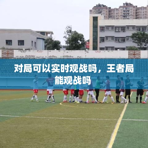 对局可以实时观战吗,王者局能观战吗